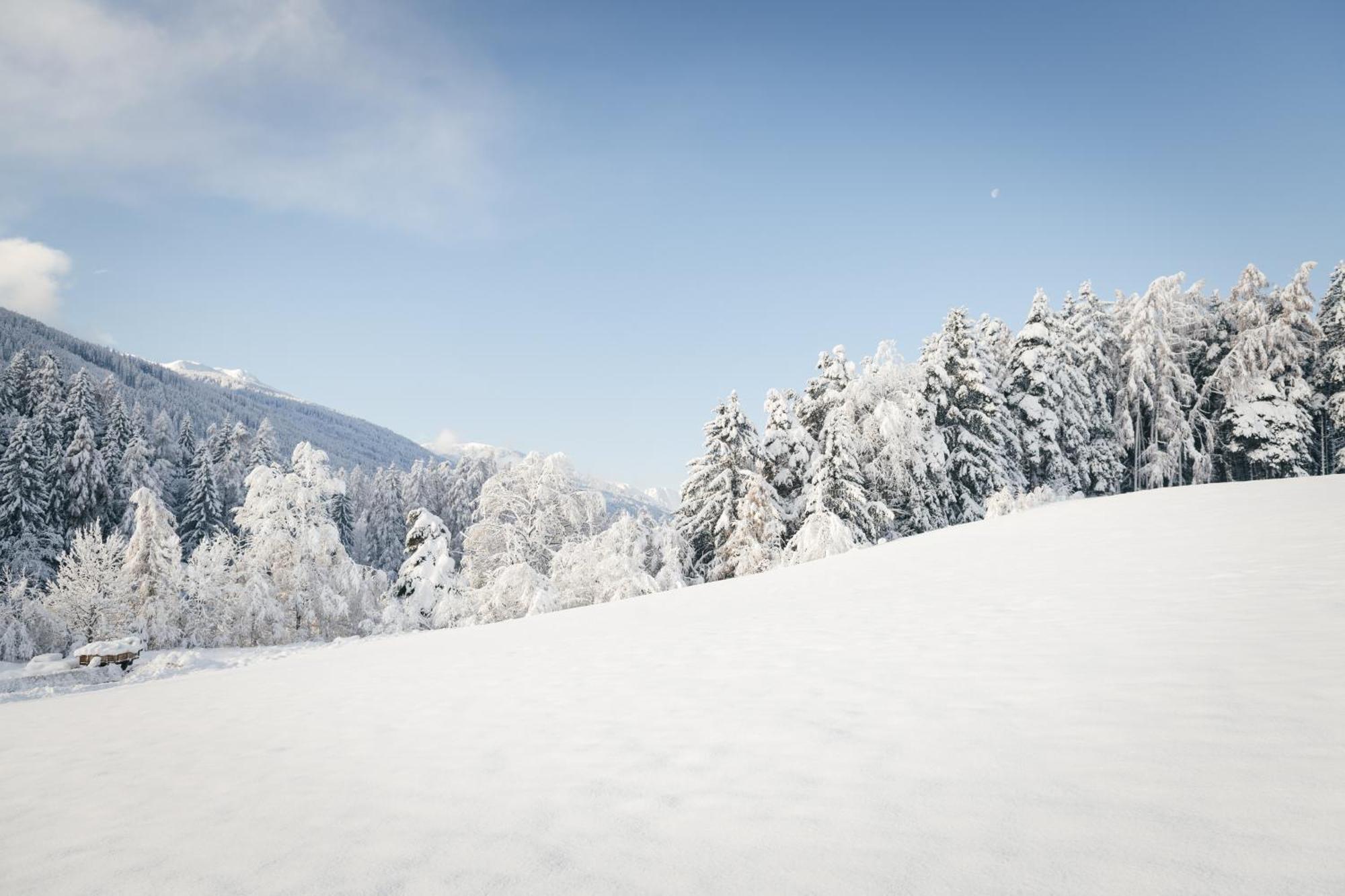 Edenhauserhof Neu Gotzens Kültér fotó