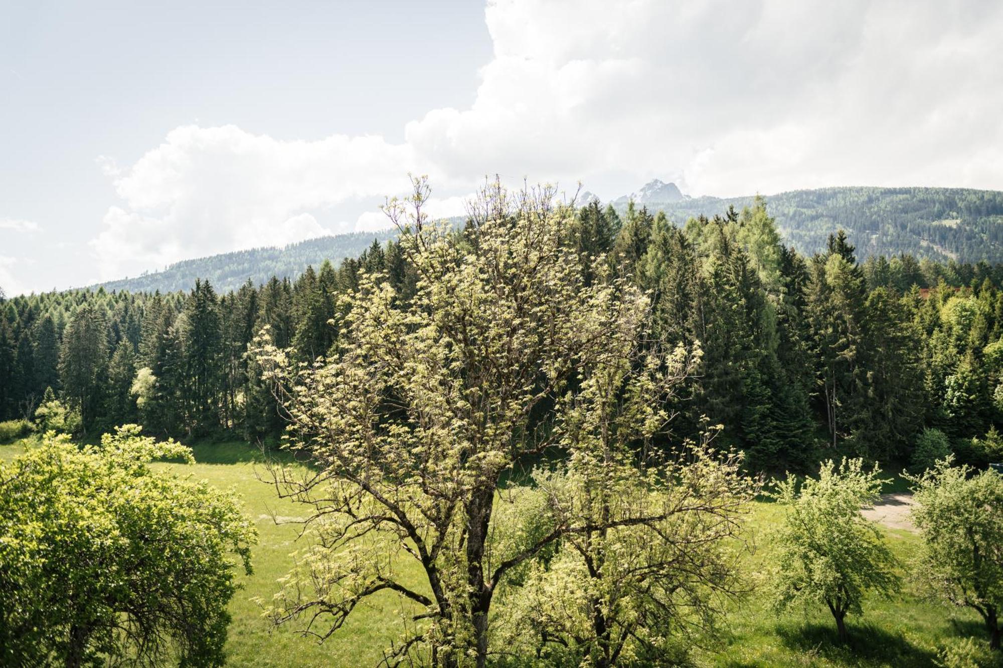 Edenhauserhof Neu Gotzens Kültér fotó